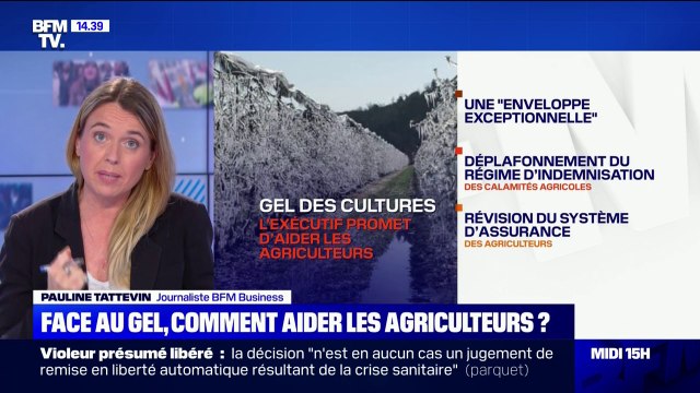 Face au gel, comment aider les agriculteurs ?