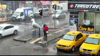 Kars'a Nisan’da lapa lapa kar yağdı
