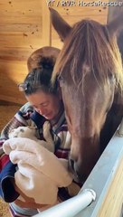 Horse Shows Puppy Lots of Love