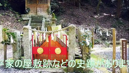（たおやかインターネット放送)たおやか瓦版徳川発祥の郷とミズバショウThe birthplace of Tokugawa and the skunk cabbage