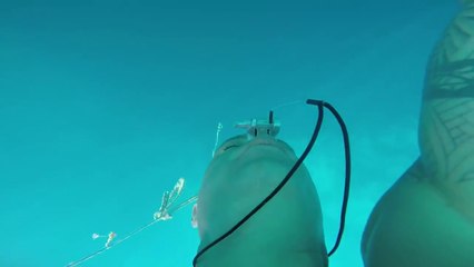 Stig Pryds - deepest POV freediving in Dean's Blue Hole