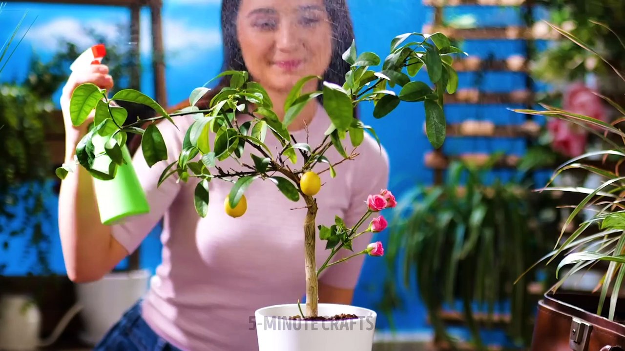 21 AMAZING PLANTS IDEAS __ DIY Gardening Tricks You Should Know