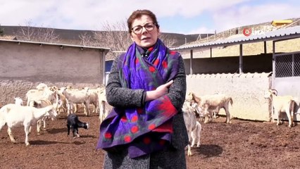 18 Nisan’ın Dünya Çoban Günü ilan edilmesi için çalışma başlatıldı