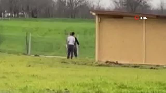 Sokak köpeklerini önce dövüştürdüler, sonra sopayla dövdüler