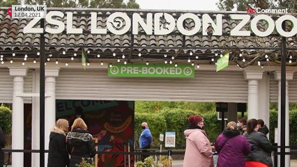 London Zoo reopens to public after latest lockdown closure