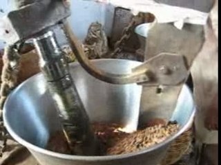 WHOLE-FRUIT-NEEM-POWDER