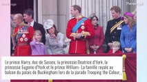 Le prince Harry est arrivé à Windsor : il a déjà retrouvé un membre de sa famille
