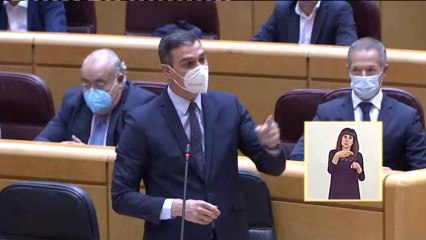 Pedro Sánchez responde a Javier Maroto en el Senado.