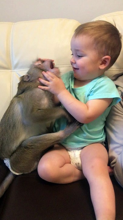 Kid Plays with Monkey Pal