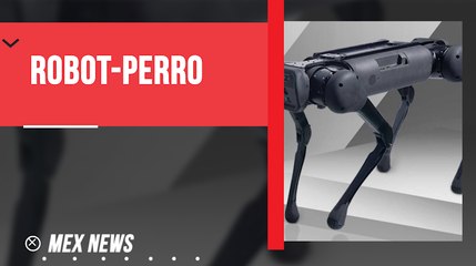 PERROS-ROBOT, LA ÚLTIMA NOVEDAD DE LA TECNOLOGÍA EN CHINA