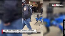New York, cane robot in azione con la polizia: è un DigiDog della Boston Dynamics