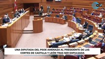 Una diputada del PSOE amenaza al presidente de las Cortes de Castilla y León tras ser expulsada