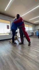 Ce chien analyse la situation avant de défendre sa maitresse