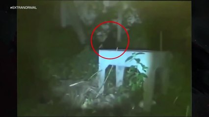 EXTRANORMAL PROGRAMA EL SACRILEGIO DEL TEMPLO ABANDONADO 22 11 2020