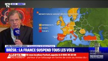 Vols suspendus: l'ambassadeur du Brésil en France 