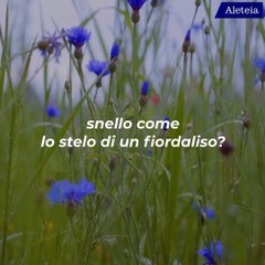 Com’è essere lo sposo di Maria?