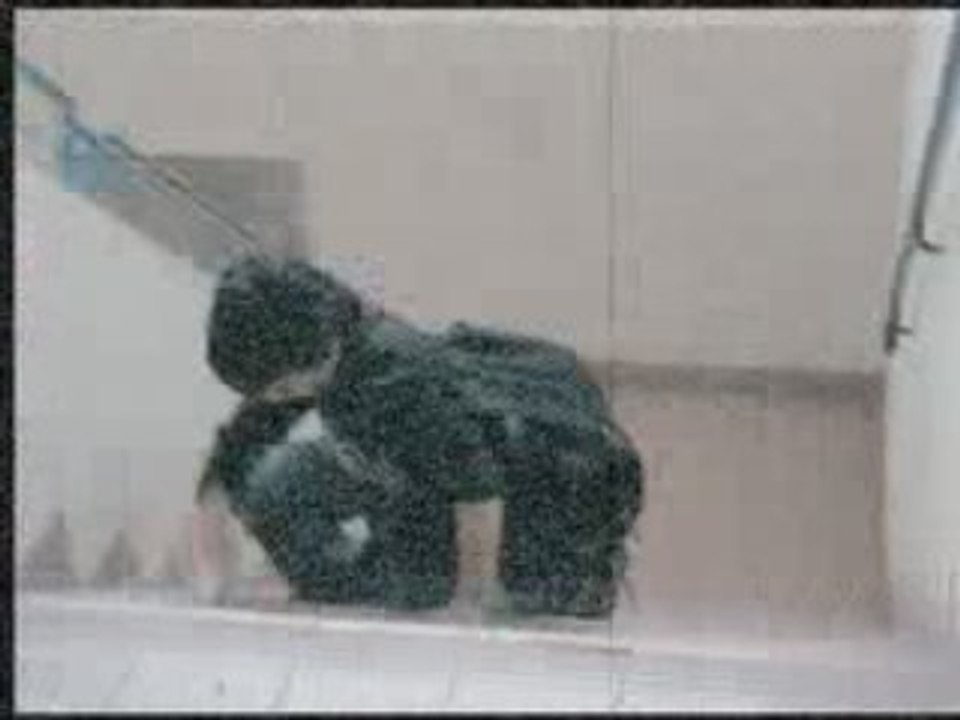 Le sac (Atelier cinéma)