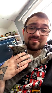 Snuggly Kitty Cuddles up on Owner's Chest