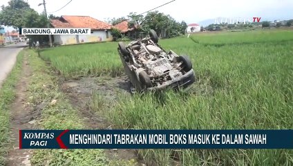 Kecelakaan Tunggal, Mobil Boks Masuk Sawah Akibat Menghindari Tabrakan!
