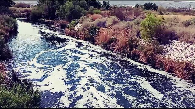 Wetland Park River 1st part