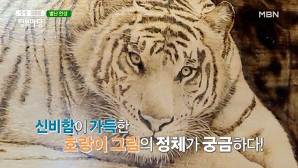 살아 있네~ 동물 세밀화 우드 버닝!!