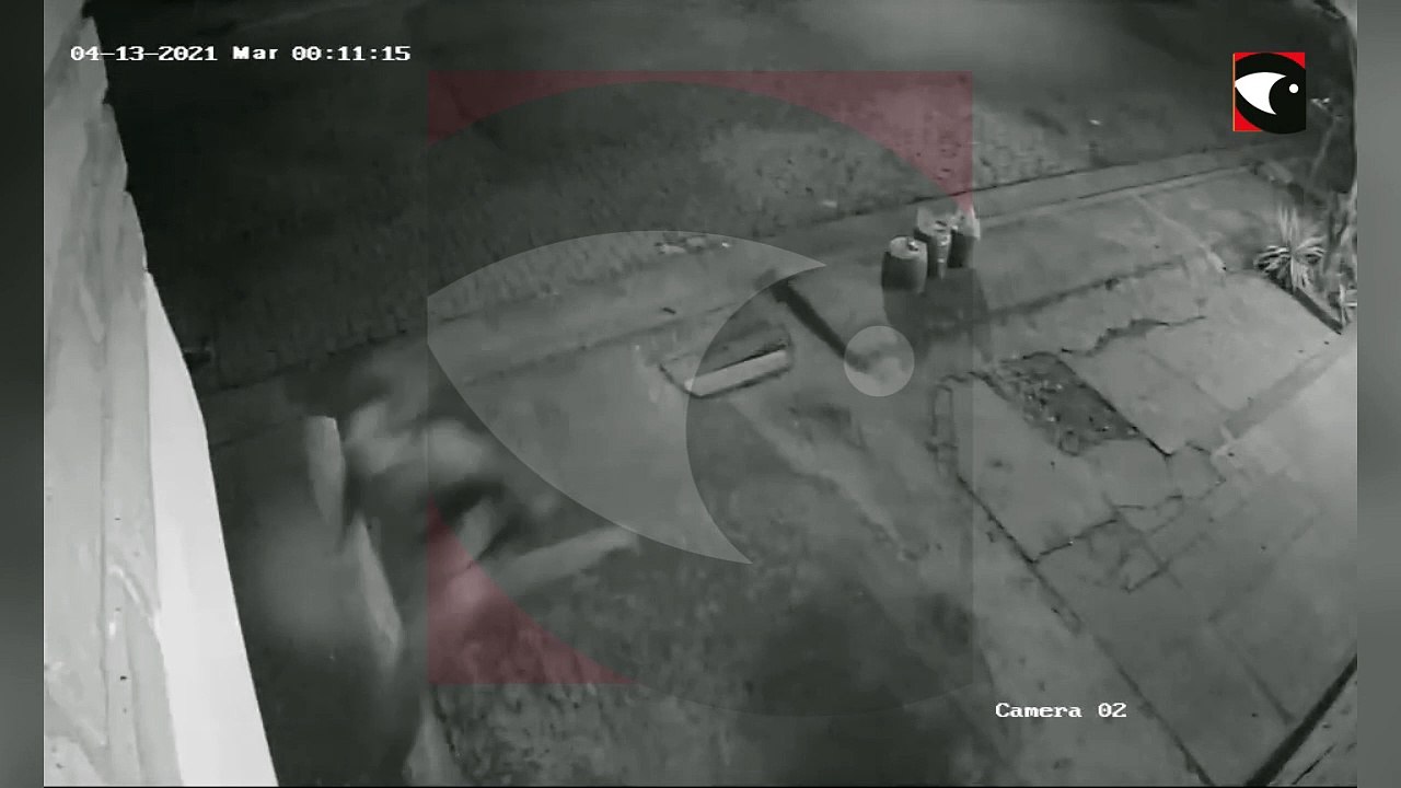 Las imágenes de las cámaras de seguridad durante el ataque de Santiago Negrete a Manuel Sánchez