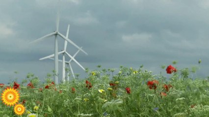 Relaxing music with beautiful nature/calming music