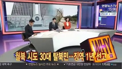 Download Video: [사건큐브] 월북 시도 30대 탈북민…징역 1년 선고