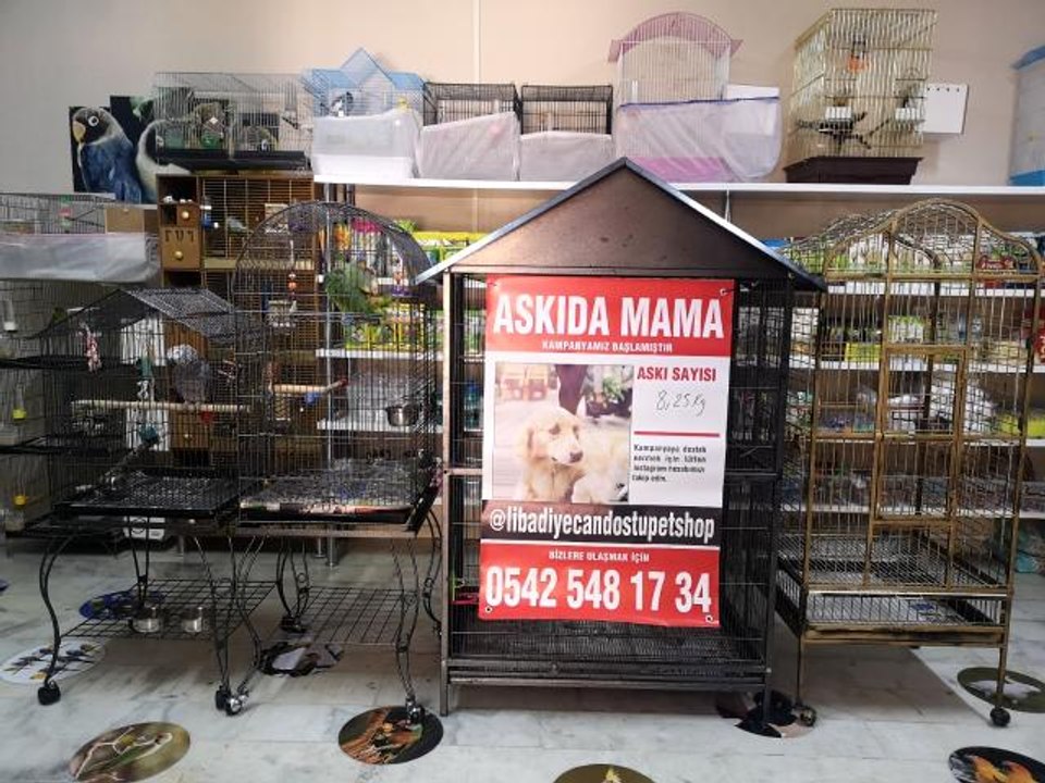 Sokak hayvanları için esnaftan 'askıda mama' projesi