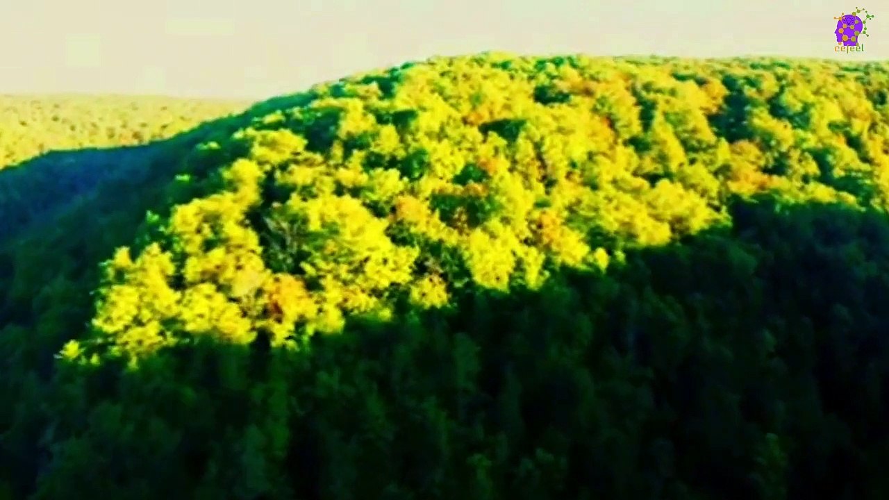 15 Minute Positive Energy Music | Relaxing Calming Music | Peaceful Music | Self-love | Self-esteem | Healing | Stress-Relief |  Study