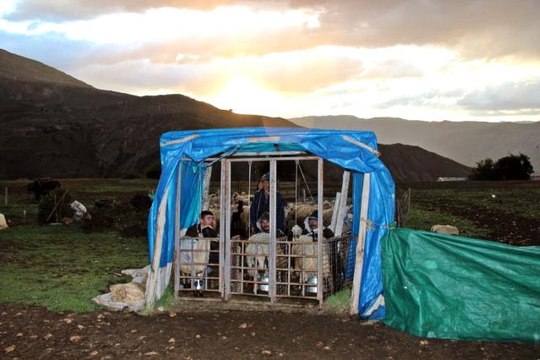 Erzincan'da sahur sofralarının vazgeçilmezi 'tulum peyniri'
