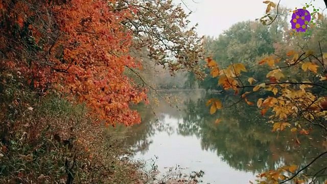 15 Minute Music for Self love | Self Esteem | Positive Energy | Anxiety-Relief | Peaceful | Nature | Instrumental | Nice | Calming | Slow | Stress-Relief