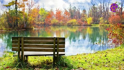 15 Minute Peaceful Music for Sleep | Positive Energy | Stress-Relief |  Anxiety-Relief | Study | Self-Esteem | Nature Imagery | Sleep | Self-love