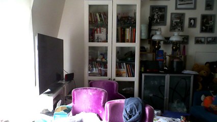 Wiwi muppetshowise "tarentula"