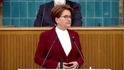 Akşener: "Biz inatla milletimizin sesi olmaya devam edeceğiz"