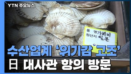 "앞으론 수산물 안 먹겠다"...수산업계 "방류 즉각 중단하라" / YTN