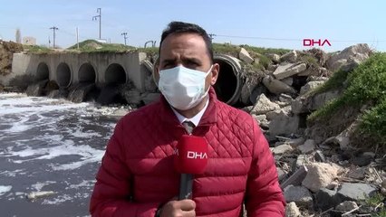 TEKİRDAĞ PROF. DR. TECER: ERGENE HAVZASI DIŞINDA SUYU BU KADAR KİRLENEN BÖLGE YOK