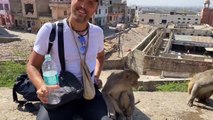 Guy feeding water to monkeys | funny video