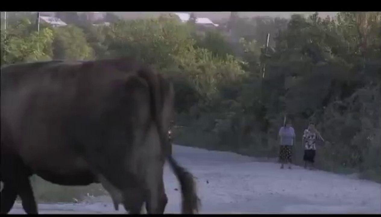 State de Romania - Episodul (009)