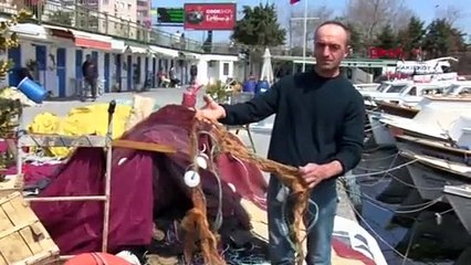 Marmara Denizi'nin dibinde ''bir şeyler'' oluyor! Şok görüntü!