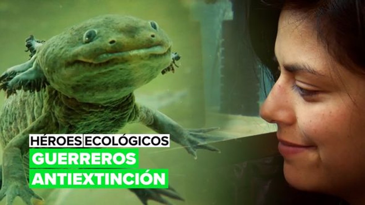 Proteger a los monstruos del agua