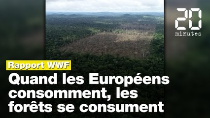 Les forêts tropicales menacées par les consommateurs européens