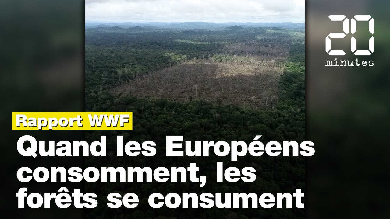 Les forêts tropicales menacées par les consommateurs européens