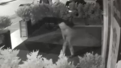 Son dakika... Kuaförün önündeki halının çalınması güvenlik kamerasına yansıdı