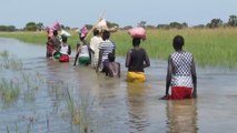 تفاقم معاناة النازحين في مقاطعتي أكوكا وملوط جنوب السودان