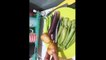 The Ciel Files | How To Cook Tempura Vegetables I Tempura Vegetables Recipe I Teacher Mom Life