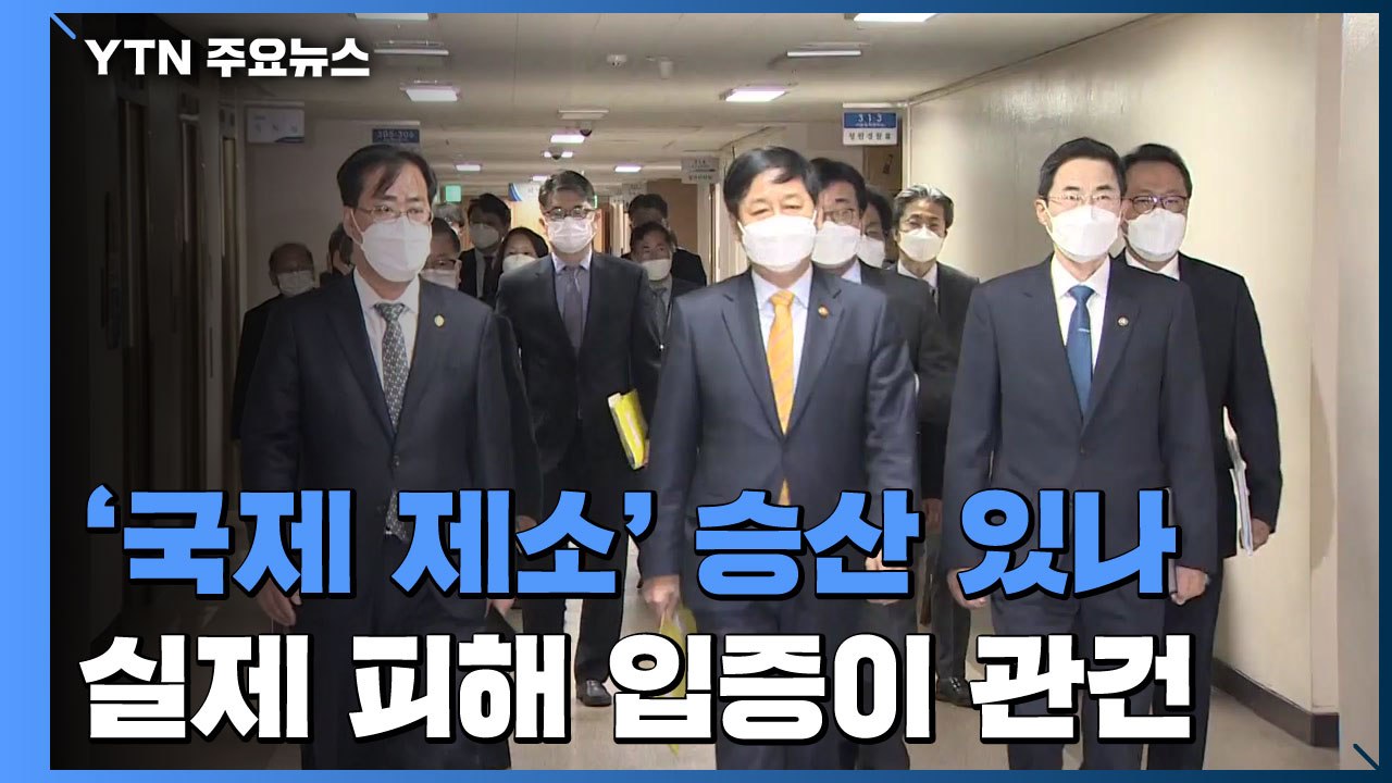 '국제 제소' 승산 있나...피해 우려 입증이 관건 / YTN