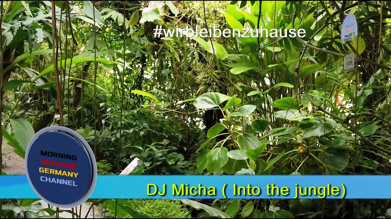 DJ Micha ( Into the jungle)FullHD