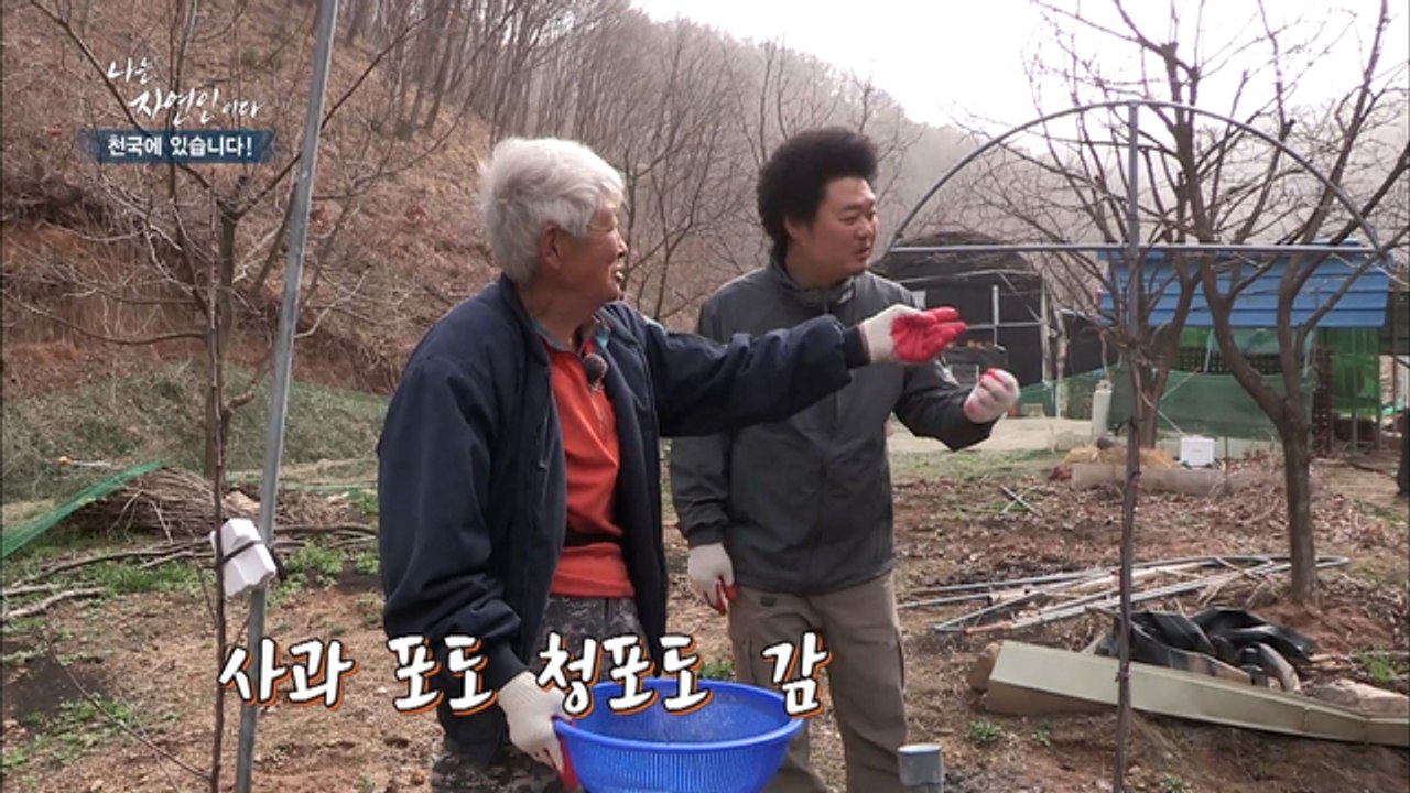 여기가 바로 산중 청과점?! 있을 건 다 있다는 자연인의 텃밭!