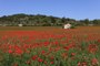 Terrains privés non constructibles : en Corrèze, les écolos vivent au-dessus des lois